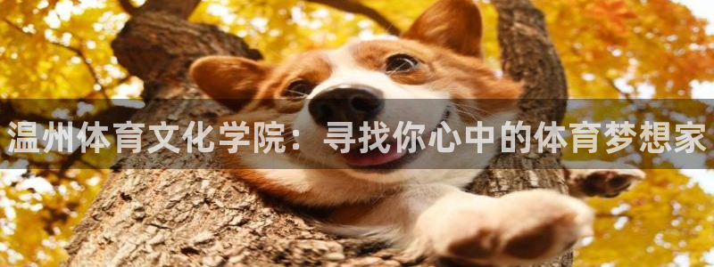 MK体育官网下载软件：温州体育文化学院：寻找你心中的体育梦想