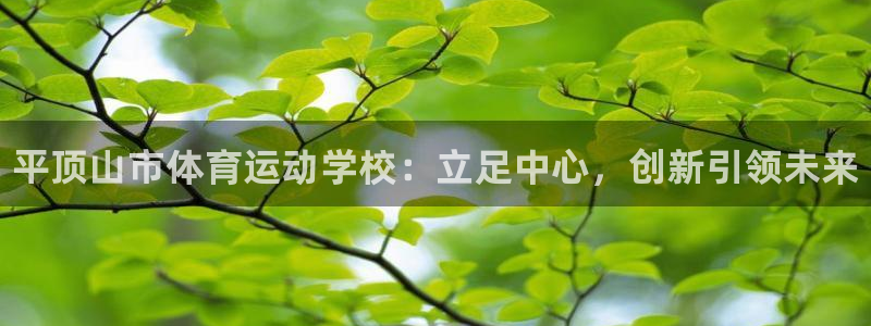 MK体育官方正版app娱乐网站：平顶山市体育运动学校