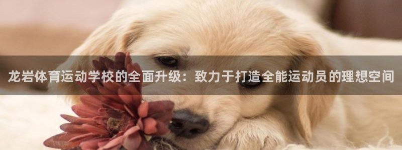MK体育官网下载平台是正规平台吗安全吗：龙岩体育运动学校的全