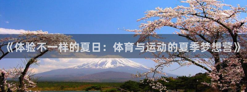 MK体育官网下载平台注册流程图：《体验不一样的夏日：
