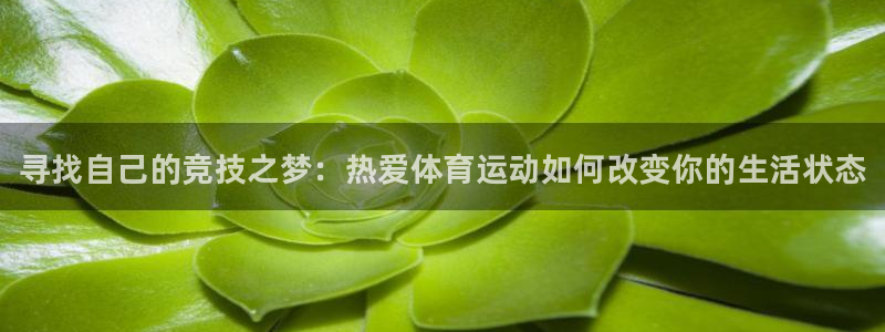 MK体育官方正版app开户：寻找自己的竞技之梦：热爱体育运动