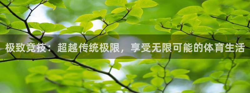 MK体育官方正版app集团E.ON：极致竞技：超越传统极限，