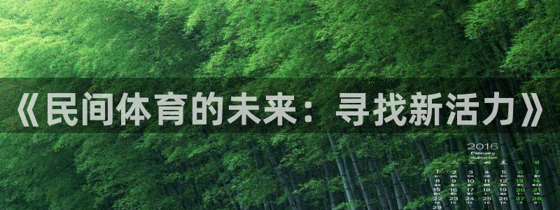 MK体育官方正版app集团：《民间体育的未来：寻找新活力》