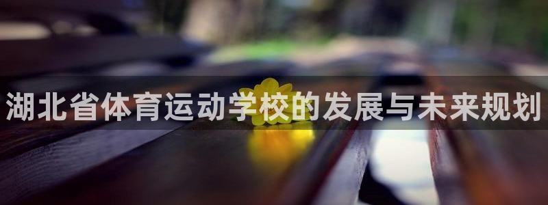 MK体育官方正版app集团官网首页：湖北省体育运动学