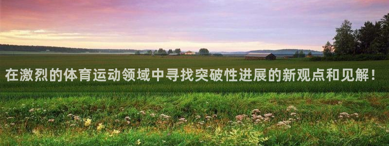 MK体育官网下载平台是正规平台吗：在激烈的体育运动领