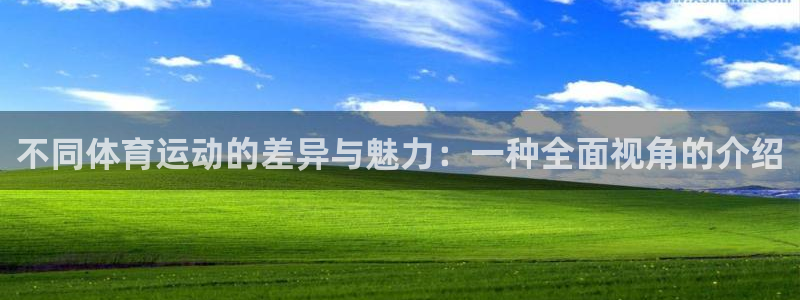 MK体育官方正版app娱乐是那个系列的台子：不同体育运动的差