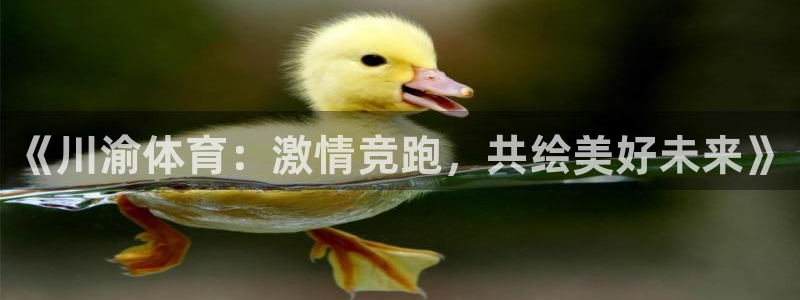 MK体育官方正版app娱乐代理怎么样