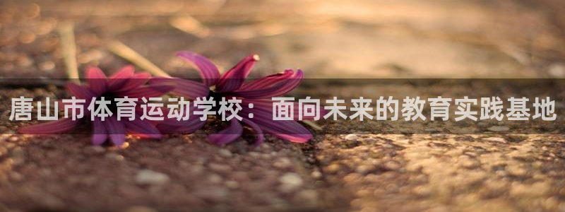 MK体育官网下载招商电话号码查询是多少：唐山市体育运动学校：