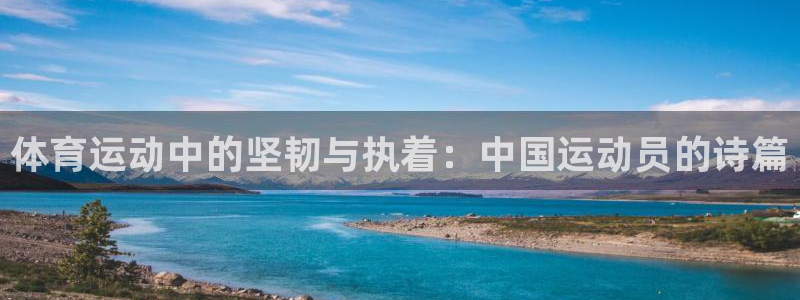 MK体育官方正版app娱乐首页网站大全：体育运动中的坚韧与执