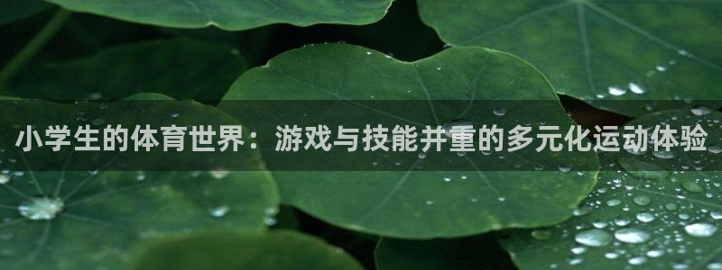 MK体育官方正版app开户