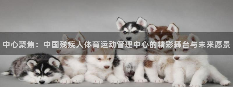 MK体育官网下载平台假的吗是真的吗：中心聚焦：中国残疾人体育
