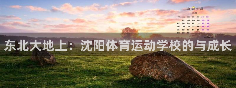 MK体育官方正版app代理：东北大地上：沈阳体育运动