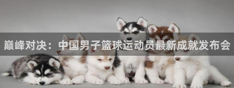 MK体育官方正版app娱乐代理怎么样：巅峰对决：中国