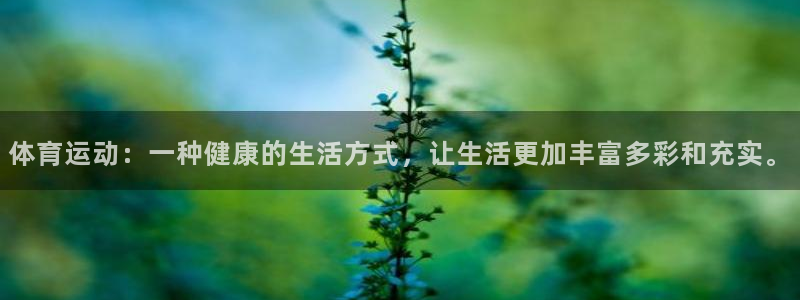 MK体育官方正版app开户：体育运动：一种健康的生活
