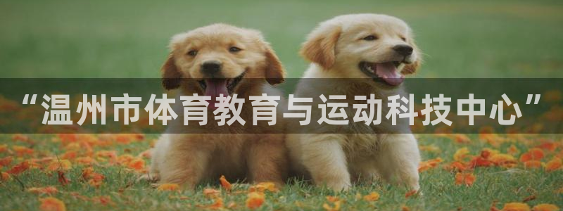 MK体育官方正版app集团：“温州市体育教育与运动科