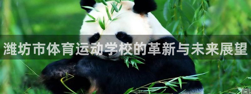 MK体育官方正版app神州：潍坊市体育运动学校的革新与未来展