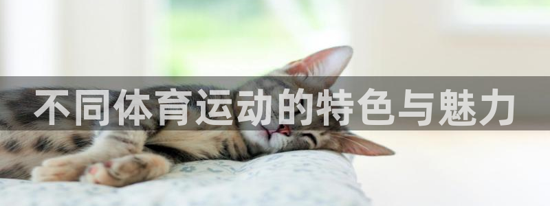 MK体育官网下载平台是正规平台吗安全吗：不同体育运动的特色与