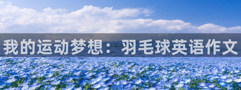 MK体育官方正版app集团官网首页：我的运动梦想：羽
