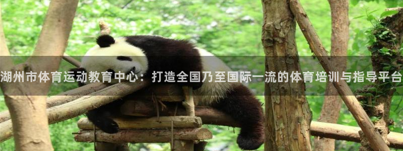 MK体育官方正版app新能源：湖州市体育运动教育中心：打造全