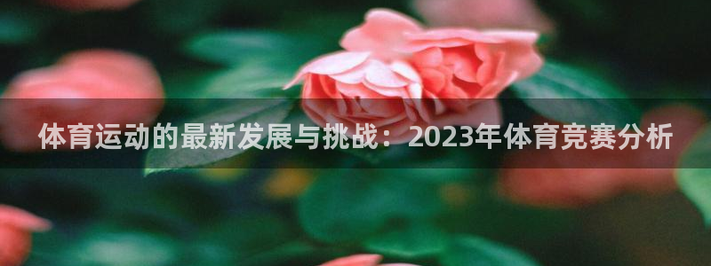MK体育官网下载平台注册：体育运动的最新发展与挑战：2023